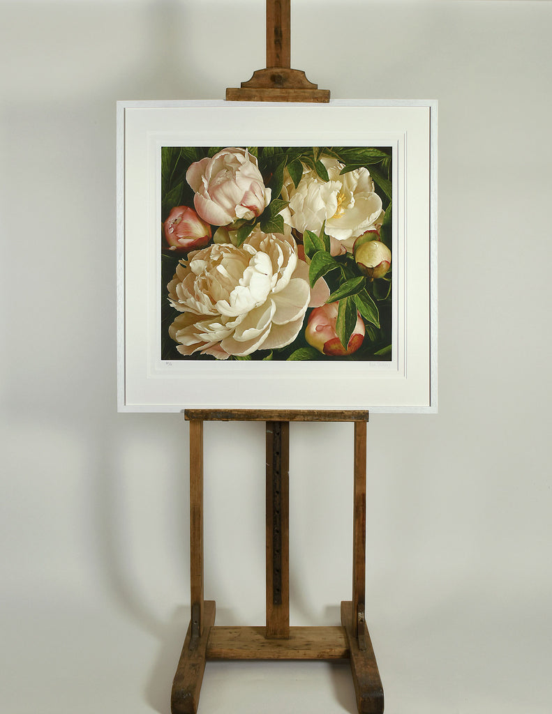 Peony Gardenia