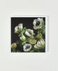 White Anemones