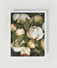 Duchess Peony