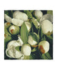 Peony Buds