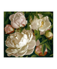Peony Gardenia