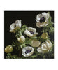White Anemones AP