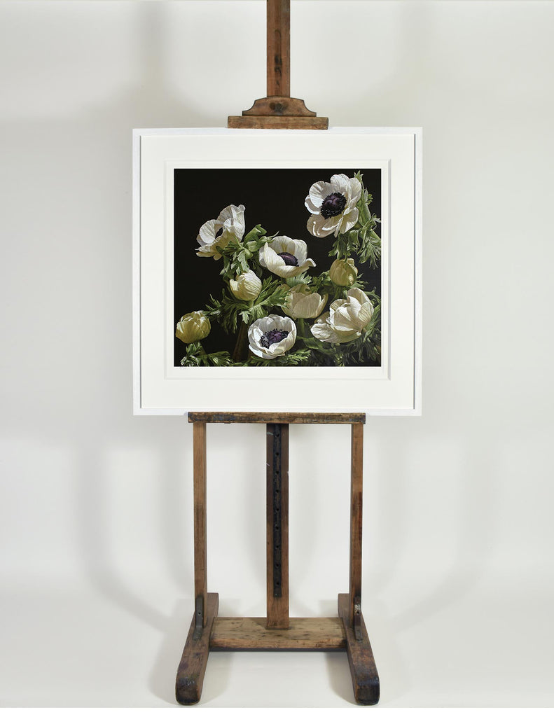 White Anemones
