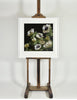 White Anemones AP